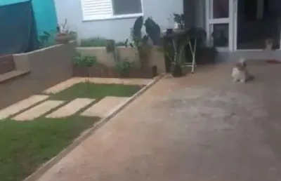 Casa com 2 quartos à venda na Rua Salvador Pereira de Camargo, 100, Éden, Sorocaba