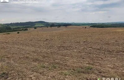 Fazenda com 2 salas à venda na Praça da Bandeira, 100, Área Rural de Itapetininga, Itapetininga