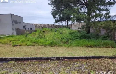 Terreno residencial à venda, taipas de pedras (mailasqui), são roque - te0771.