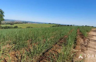 Fazenda à venda na Estrada João Moreira, 444, Centro, Capela do Alto