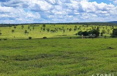 Fazenda à venda na Rodovia Castelo Branco, 10, Zona Rural, Bofete