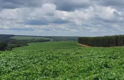 Fazenda à venda, 171 m² por r$ 14.200.000,00 - centro - bauru/sp