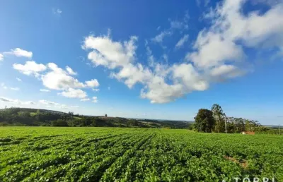 Excelente sítio a venda na região de itapetininga-sp