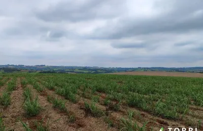 Fazenda à venda na Rua Nova Escócia, 52, Vila Barth, Itapetininga