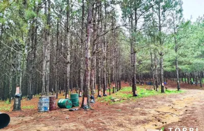 Fazenda 5.493.400 m² á venda na região de itapetininga sp