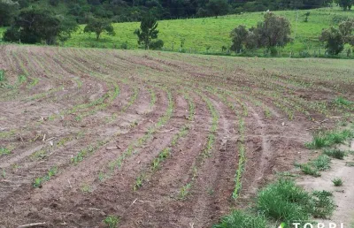 Fazenda à venda na Rua Nova Escócia, 24, Vila Barth, Itapetininga