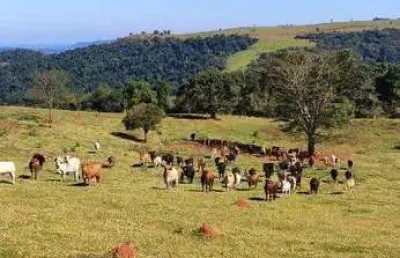 Fazenda 2879800 m² á venda na região de botucatu sp