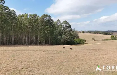 Terreno à venda na Rua Campos Salles, 666, Área Rural de Itapetininga, Itapetininga