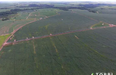 Terreno à venda na Avenida Antônio Veronese, 44545, Vila América, Penápolis