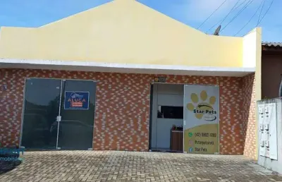 Sala, 40 m² - venda por r$ 550.000,00 ou aluguel por r$ 500,00/mês - rio bonito - irati/pr