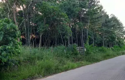 Terreno à venda na rua alberto adolpho fruchtenicht, 8, campestre, são leopoldo por r$ 137.000