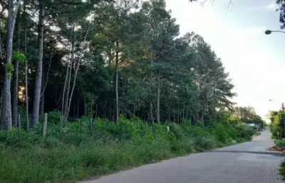 Terreno à venda na rua alberto adolpho fruchtenicht, 7, campestre, são leopoldo por r$ 137.000