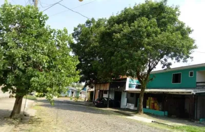 Casa com 6 quartos à venda na rua afonso schafer, 66, feitoria, são leopoldo por r$ 848.000