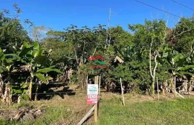 Chácara / sítio à venda na Avenida Coronel Raimundo Vasconcelos, 450, Centro, Itariri
