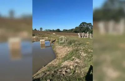 Chácara / sítio com 6 quartos à venda na rua vila nova, 2100, cachoeira, são josé dos pinhais por r$ 5.600.000