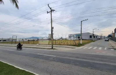 Terreno à venda, são vicente, itajai - sc terreno estaqueado para galpão.