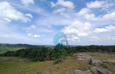 Chácara à venda, 20000 m² por r$ 1.289.990,00 - são luiz do purunã - balsa nova/pr