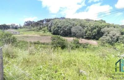 Terreno/área a venda, 20 hectares em são roque, flores da cunha rs