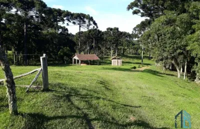 Chácara / sítio à venda na Br, Bugre, Balsa Nova