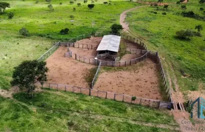 Fazenda com 168 alqueires goianos - 813 hectares; - município de cocalzinho de goiás go