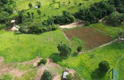 Fazenda localizada em minaçu - go a 70km da cidade de goiânia - go, com fácil acesso de carro.