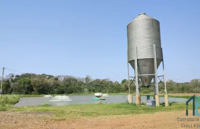 Sítio produtivo de 5 alqueires, 7 tanques, em são miguel do iguaçu pr