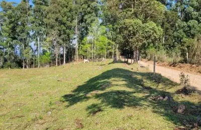 Chácara a venda 12.1 hectares, 02 casas e barracão, na água amarela em chapecó - sc