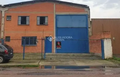 Barracão / galpão / depósito à venda na rua dona castorina lima da silveira, 690, estância velha, canoas, 500 m2 por r$ 1.300.000