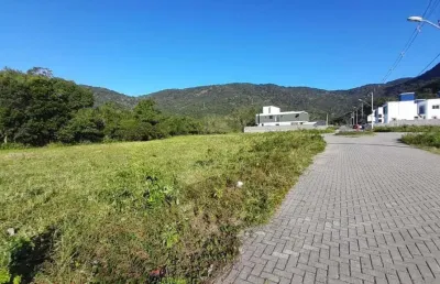 Terreno à venda na rodovia baldicero filomeno, 3160, ribeirão da ilha, florianópolis, 453 m2 por r$ 650.000