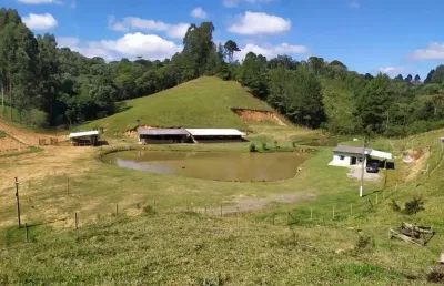 Chácara para venda em campo alegre / sc no bairro centro