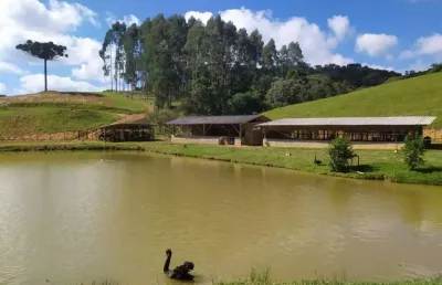 Chácara para venda em campo alegre / sc no bairro centro