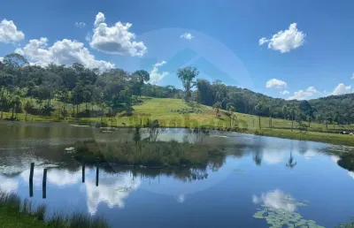 Chácara / sítio à venda na Estrada Do Guapiara, s/n, Zona Rural, Mandirituba
