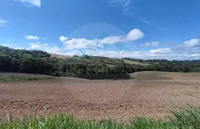 Chácara / sítio à venda na Rua Travessa De Amorin, Campestrinho, Mandirituba