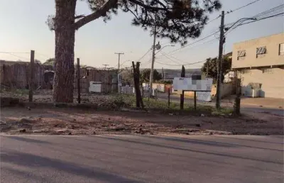 Terreno para alugar, 1700 m² por r$ 4.880,00/mês - vila nova - porto alegre/rs