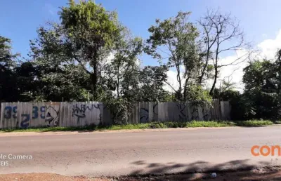 Terreno para alugar, 4900 m² por r$ 5.560,00/mês - vila nova - porto alegre/rs