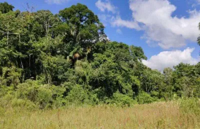 Terreno para venda em são bento do sul, rio mandióca