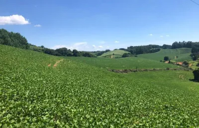 Terreno à venda na Estrada De Avenquinha, Avenquinha, Campo Alegre