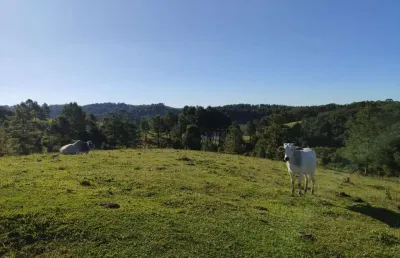 Terreno à venda na Estrada Sertãozinho, Serra Alta, São Bento do Sul