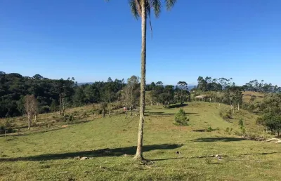 Terreno à venda na Estrada Sertãozinho, Serra Alta, São Bento do Sul