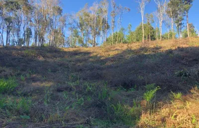 Terreno à venda na Rua Daniel Moser, Progresso, São Bento do Sul