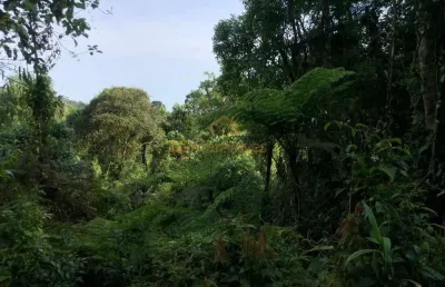 Terreno para venda em são bento do sul, rio vermelho estação