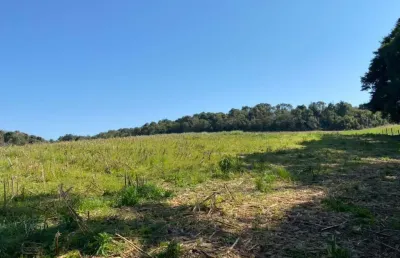 Terreno para venda em são bento do sul, dona francisca