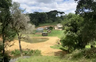 Chácara para venda em são bento do sul, lençol, 3 dormitórios, 1 banheiro, 1 vaga