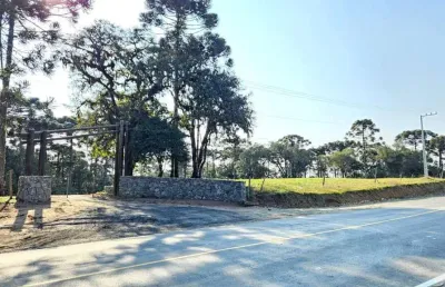 Terreno para venda em campo alegre, bateias de baixo