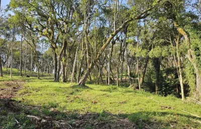 Terreno para venda em campo alegre, bateias de baixo