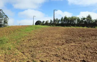 Terreno à venda na Estrada Dois Eduardos, Cruzeiro, São Bento do Sul