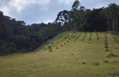 Chácara para venda em são bento do sul, rio vermelho estação