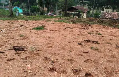 Terreno à venda na Rua Willi Pilz, Serra Alta, São Bento do Sul