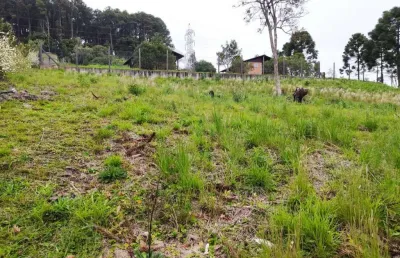 Terreno à venda na Rua João Hansen Júnior, Cascatas, Campo Alegre