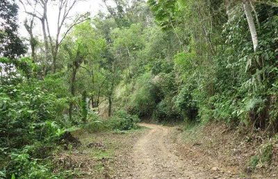 Terreno para venda em são bento do sul, rio mandióca